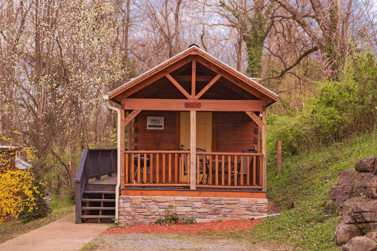 Elise Cabin Forest Retreat 5 Mins To Downtown تشاتانوغا المظهر الخارجي الصورة