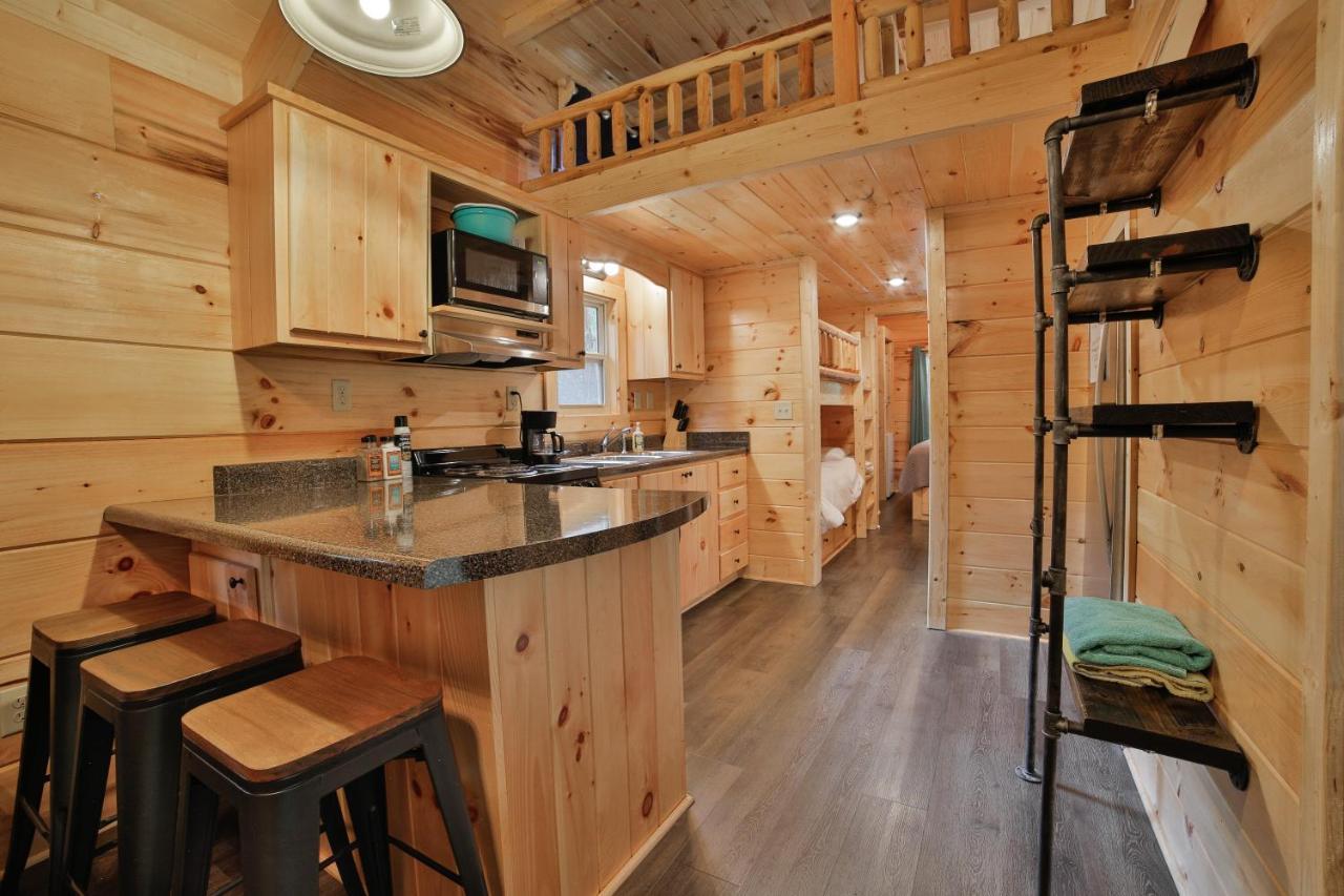 Elise Cabin Forest Retreat 5 Mins To Downtown تشاتانوغا المظهر الخارجي الصورة