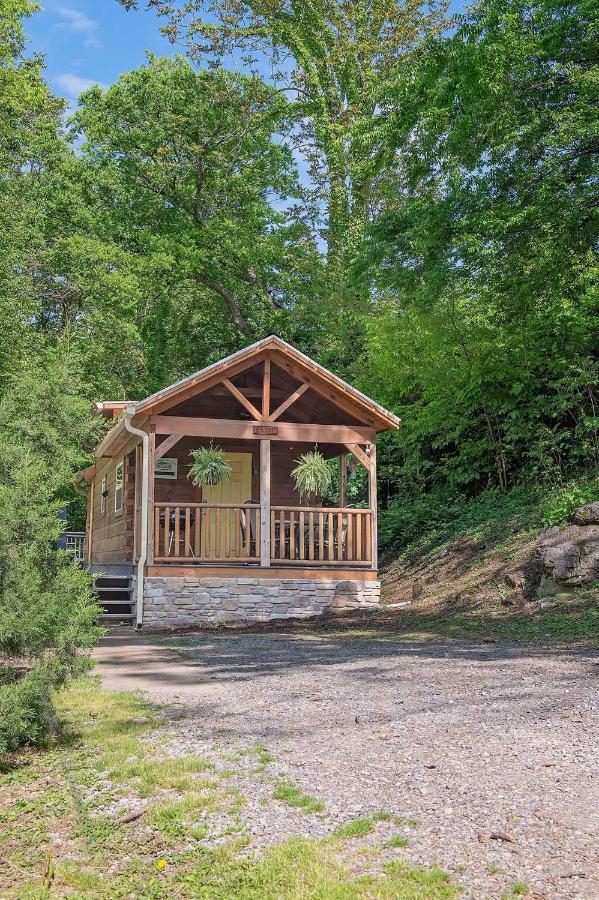 Elise Cabin Forest Retreat 5 Mins To Downtown تشاتانوغا المظهر الخارجي الصورة